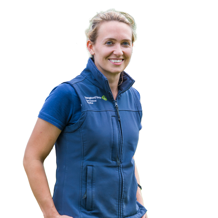 Andrea stands smiling in her Langford Vets uniform