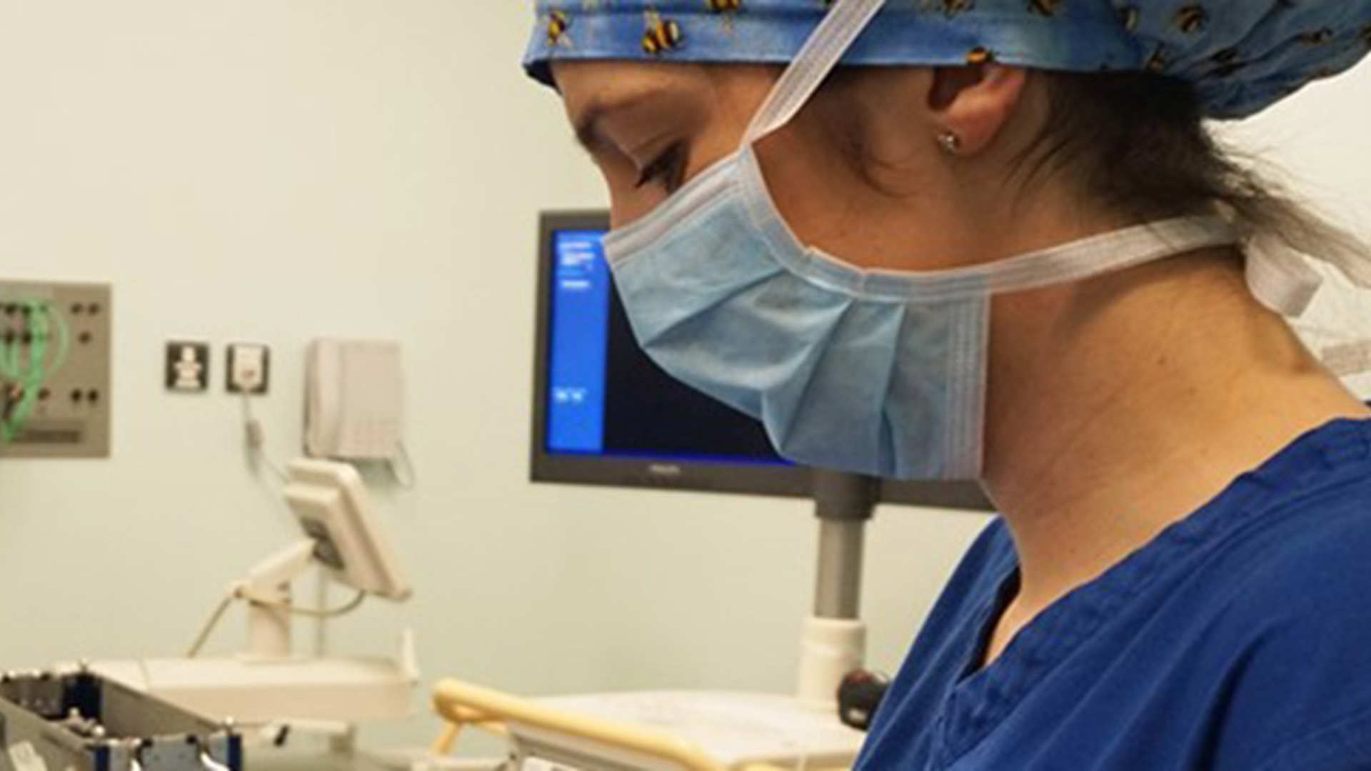 A veterianry nurse in theatre