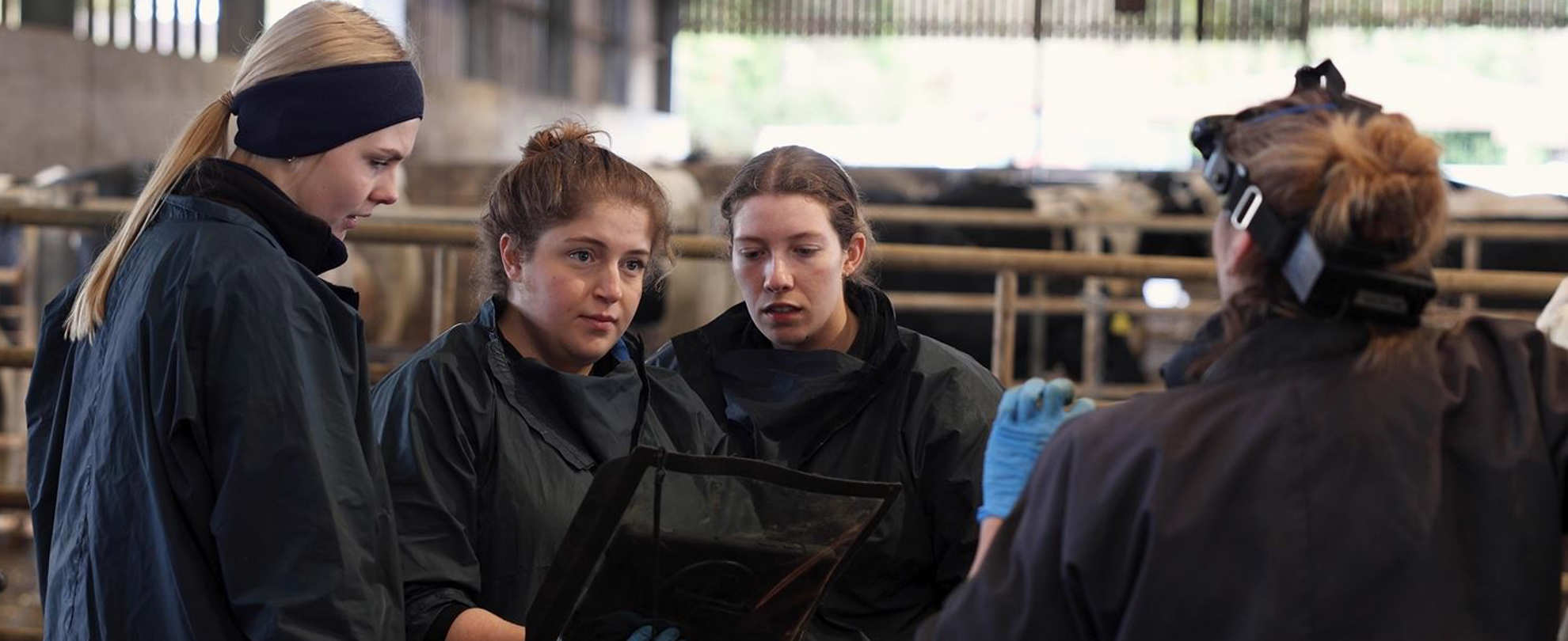 Three vet students looking at a scanner and being taught by a farm vet on a dairy farm