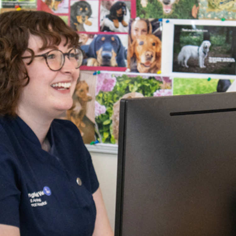A smiling hospital receptionist sits ready to welcome clients and their pets with many pictures of previous patients on the wall behind her.