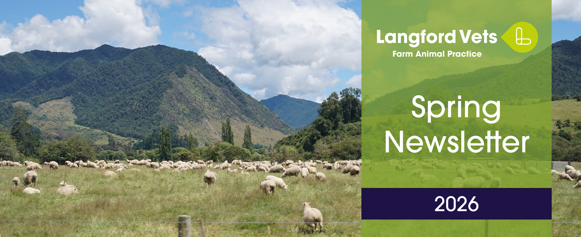 Farm Animal Practice Spring Newsletter 2026 | Langford Vets