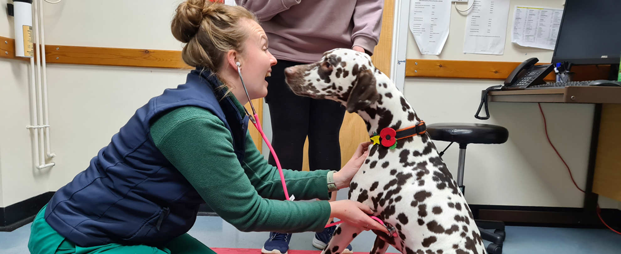 What Happens at My Consultation | Langford Vets