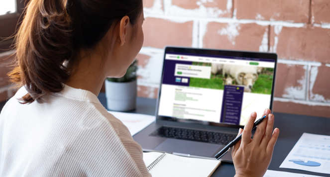 A woman sitting at a desk with her laptop open the screen shows the Langford Vets web page