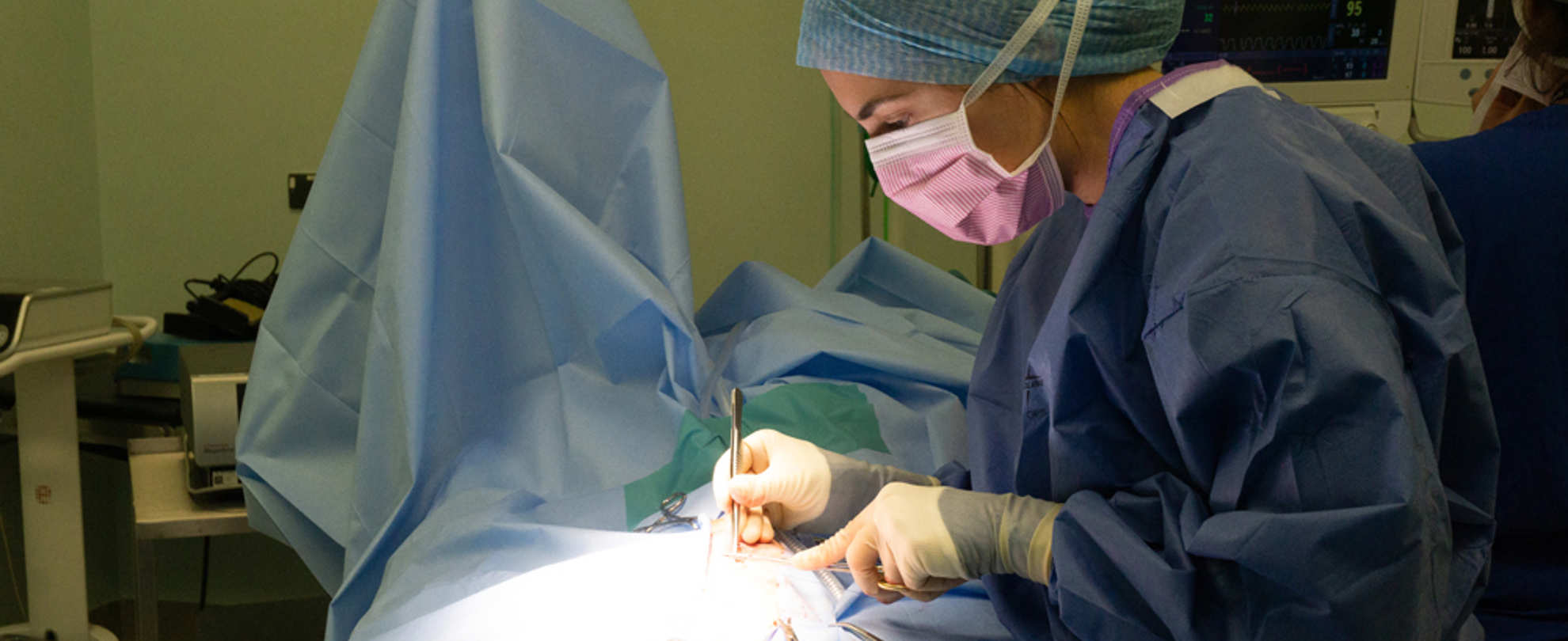 Soft Tissue Surgery | Langford Vets