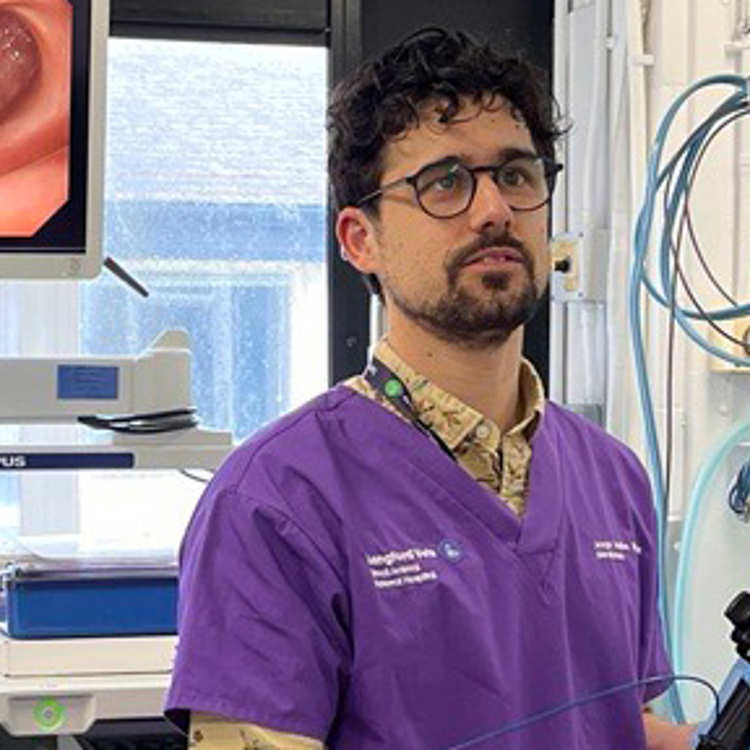 A vet performs endoscopy while the team watch the results on a screen