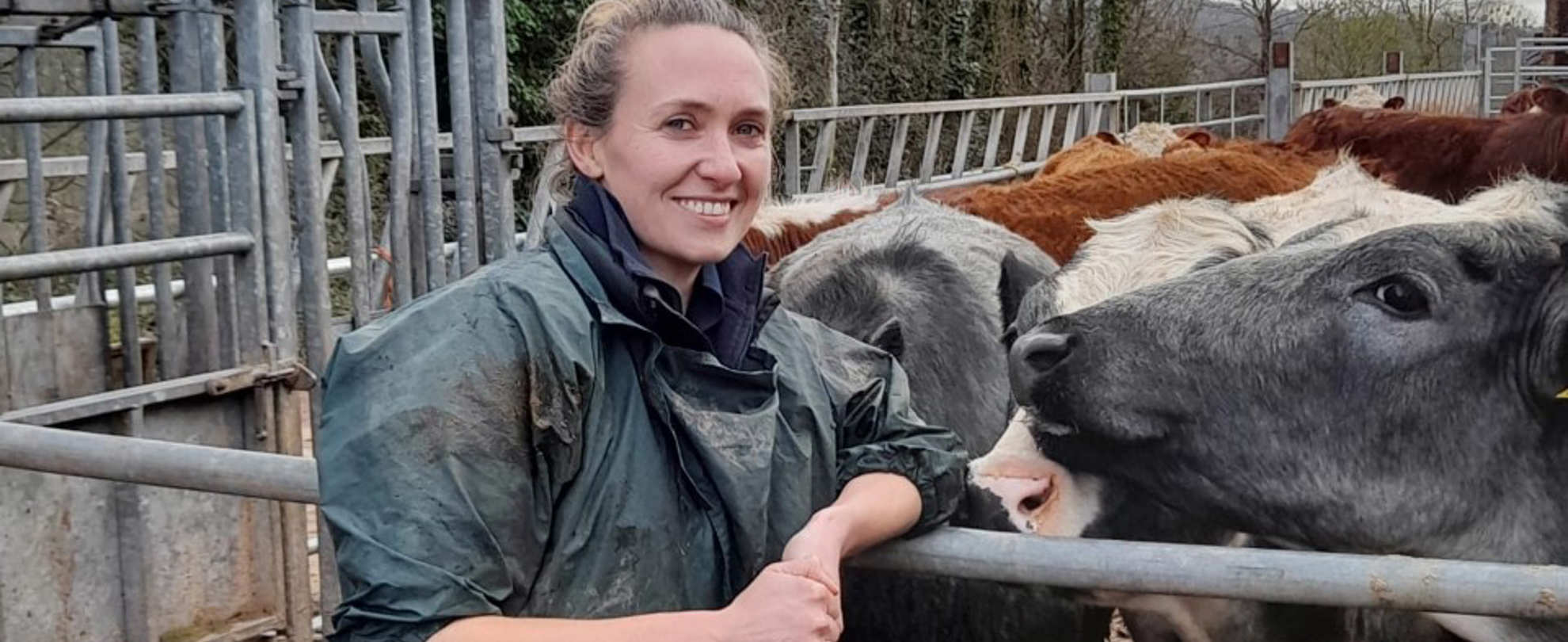 Smiling Vet Andrea leans on a farm gate where cows jostle for her attention