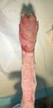 Nellie's wound is healing well